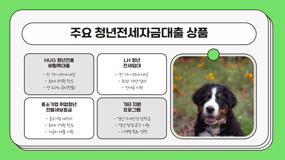 청년전세자금대출 이미지 7