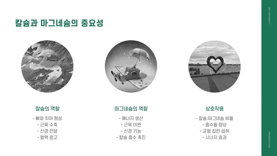 칼슘 마그네슘 효능 이미지 6