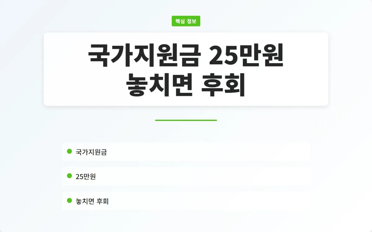 국가지원금 25만원 이미지 1